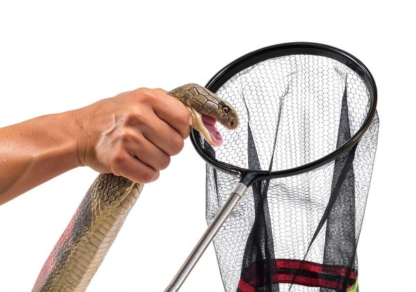 Qualirey Snake Catcher Net Stainless Steel Retractable Rod-5