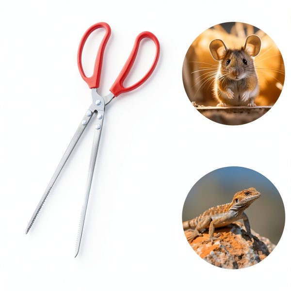TUICARE Snake Feeding Tongs Stainless Steel Reptile Tools-6