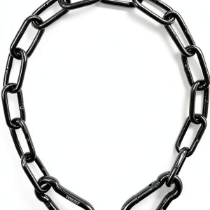 PNKPET Stainless Steel Gate Chain Carabiners Horse Stall-0