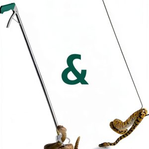 Snake Tongs and Hook Set IC ICLOVER Stainless Steel Pet-0